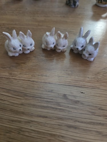 Trio paired bunny rabbits - of,