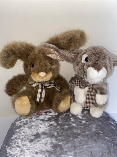 Pair bunny rabbit - of, friends