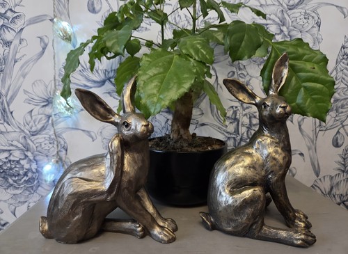 Fabulous pair hare rabbit - pair,