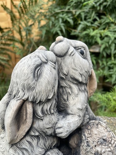 Rabbit couple garden - rabbit,