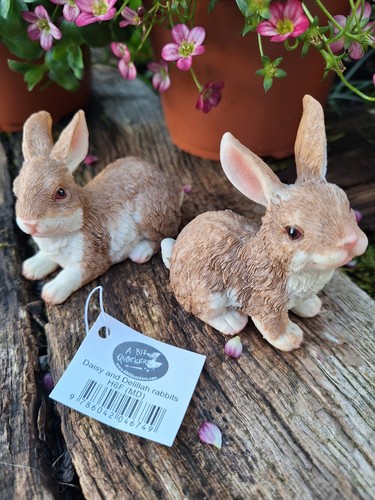 Garden gift rabbits daisy - garden,