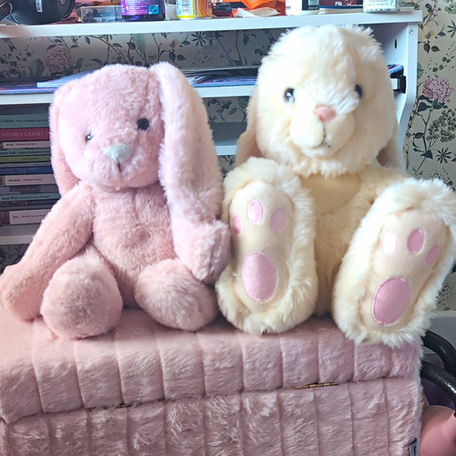 Pair plush bunny soft toys - pair,