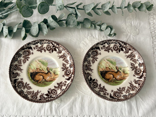 Spode woodland ceramic - woodland, saucer