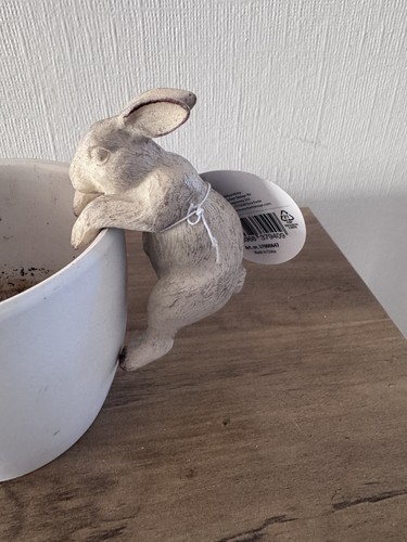 Pair rabbit plant pot - pair,