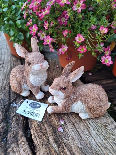 Garden gift rabbit - gift, gurt