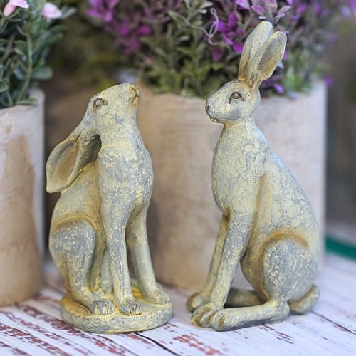 Pair hare resin - resin, in