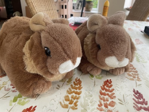 Lovely pair rabbit pyjama - a,