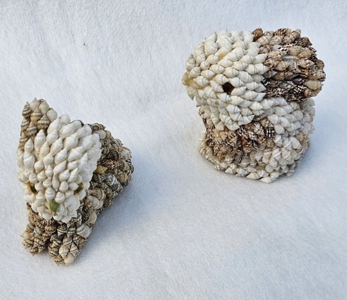 Vintage handmade seashell - vintage,