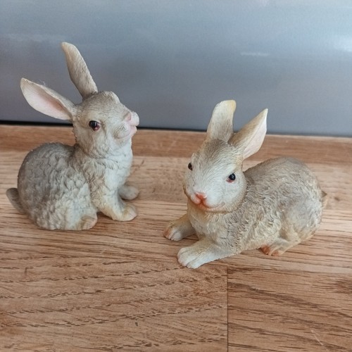 Pair mini bunny rabbit - bunny,