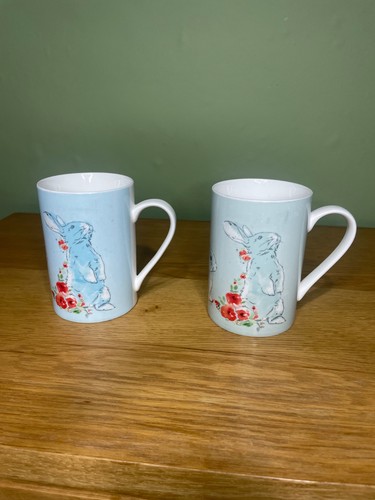 Pair rabbit hare mungs - pair, of