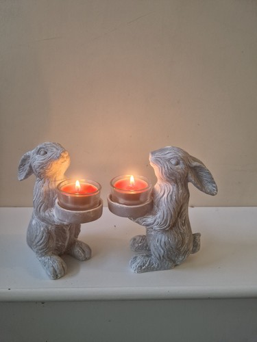 Pair bunny rabbit - bunny,