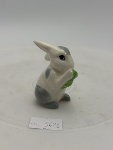 Small white rabbit eating - rabbit,